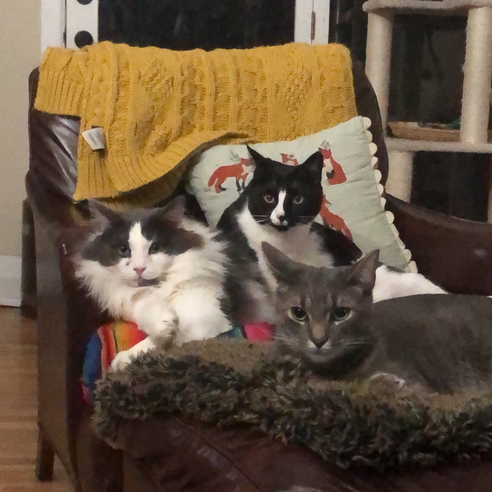 Meet your Posher, Kylie